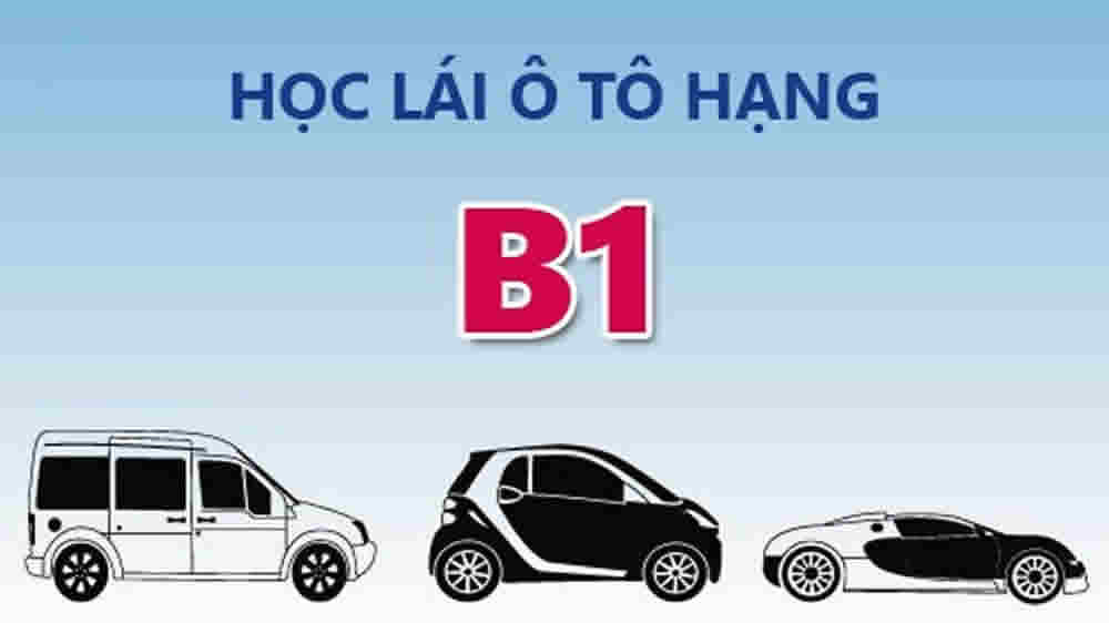hoc bang lai xe o to hang b1 so tu dong 3